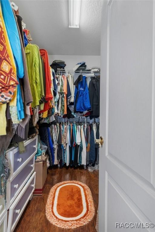 spacious closet featuring wood finished floors