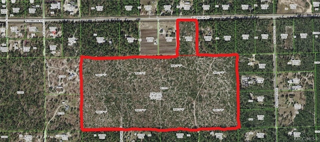 5656 W Dunklin St, Dunnellon FL, 34433 land for sale