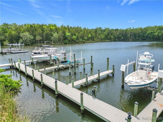 11122 W Cove Harbor Dr, Crystal River, FL 34428 - photo 34