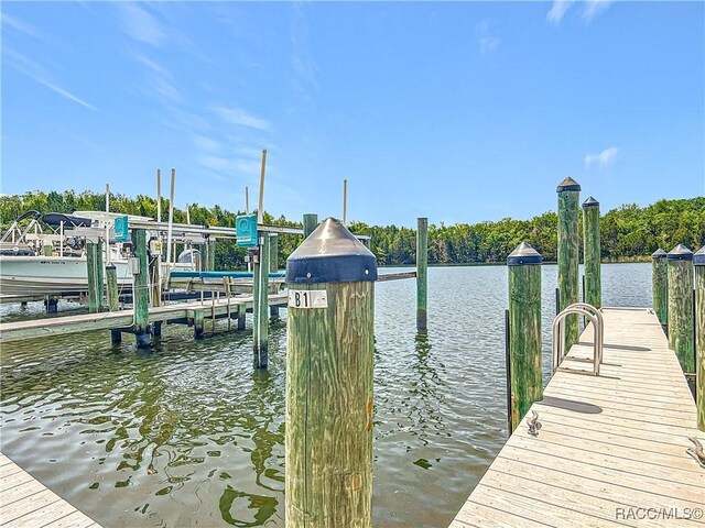 11122 W Cove Harbor Dr, Crystal River, FL 34428 - photo 28