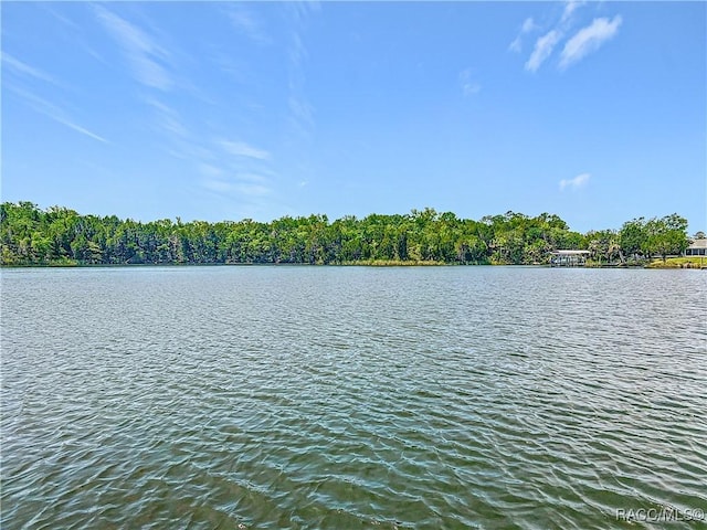 11122 W Cove Harbor Dr, Crystal River, FL 34428 - photo 32