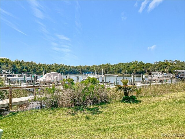 11122 W Cove Harbor Dr, Crystal River, FL 34428 - photo 26