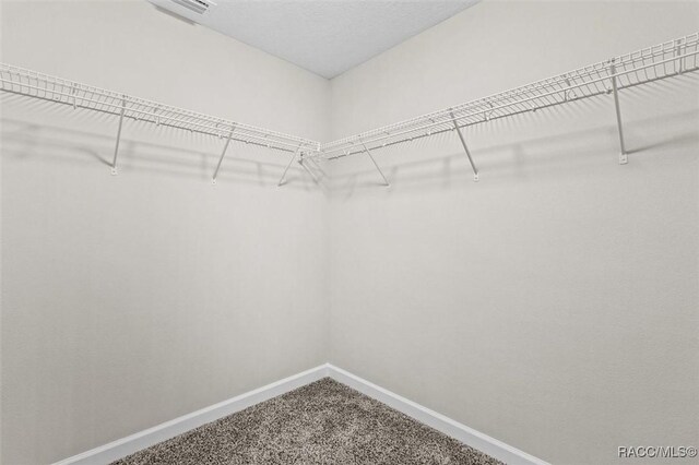 5379 N Nakoma Dr, Beverly Hills, FL 34465 - walk in closet with carpet