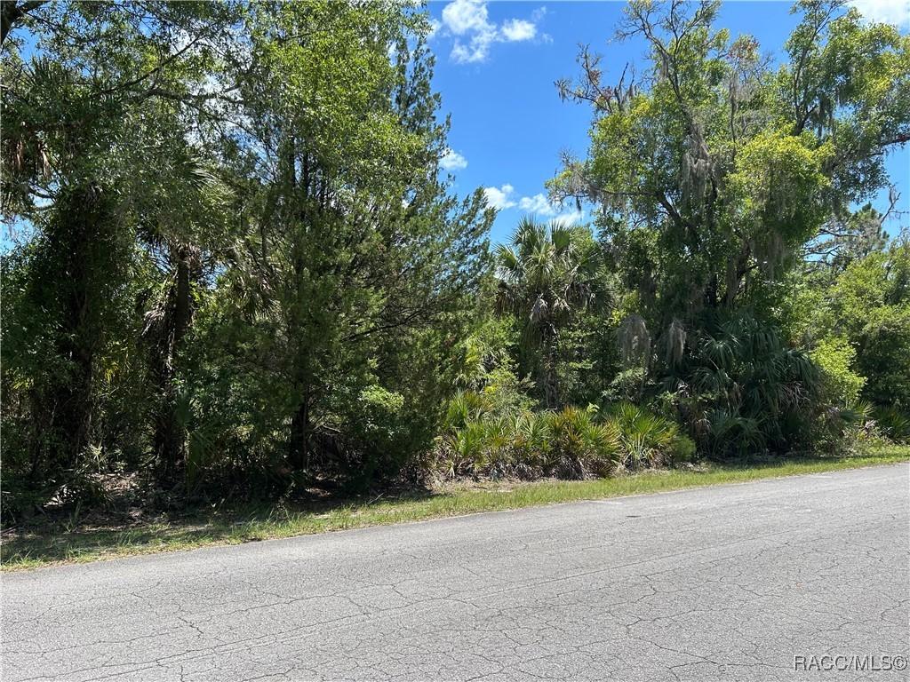 10257 N Coco Plumosa Dr, Crystal River, FL 34428 - photo 1