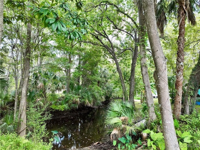 view of nature