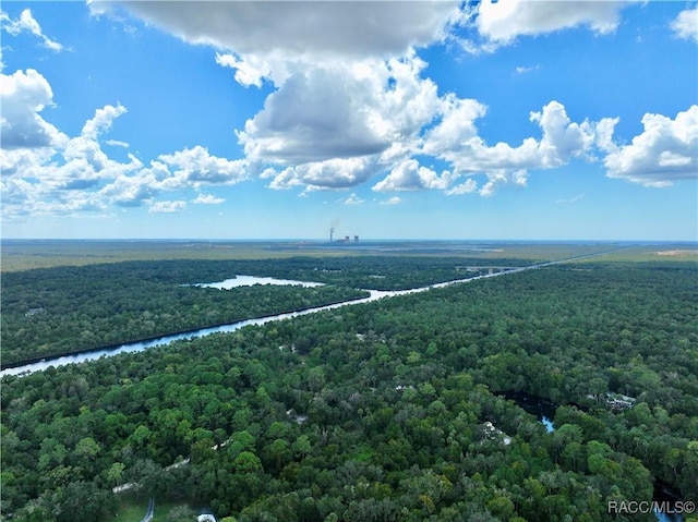 aerial view featuring a view of trees and a water view