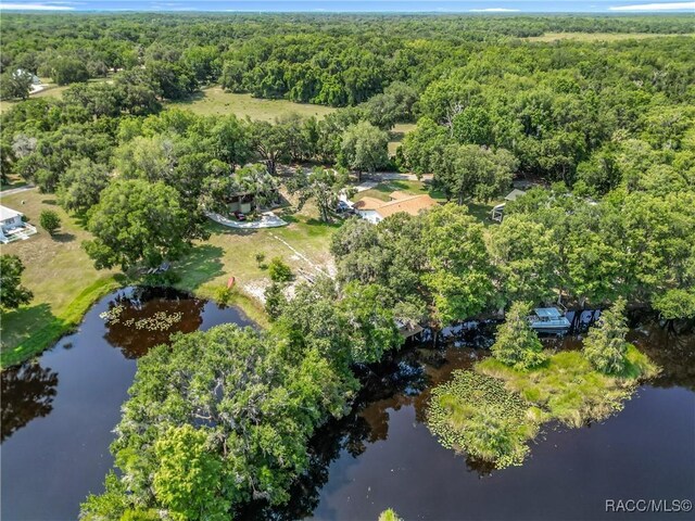 9200 E Hampton Point Rd, Inverness, FL 34450 - photo 50