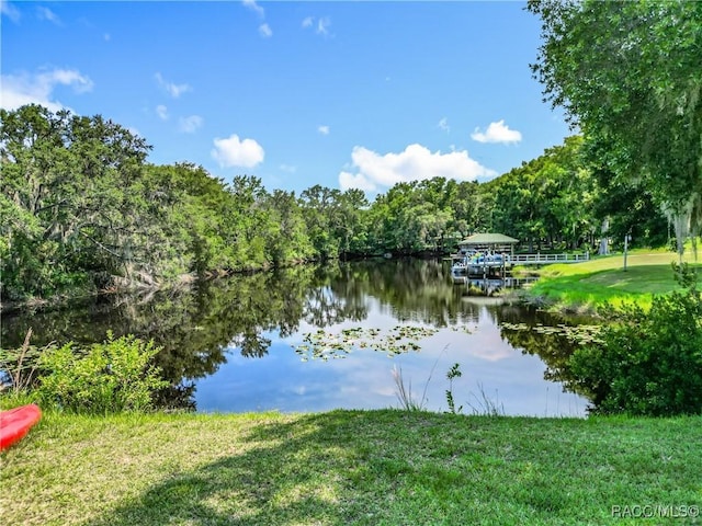 9200 E Hampton Point Rd, Inverness, FL 34450 - photo 3