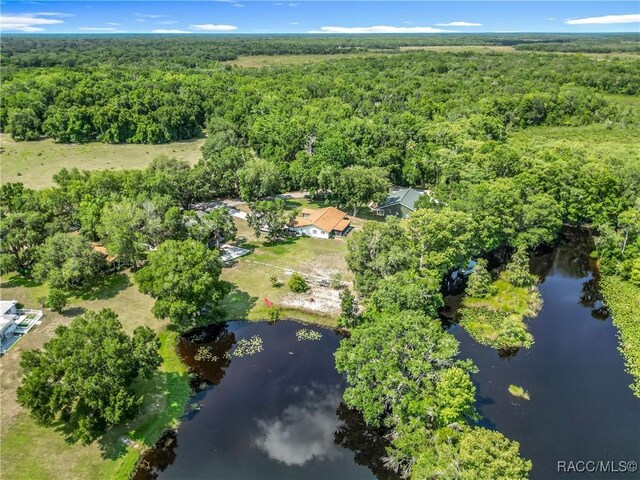 9200 E Hampton Point Rd, Inverness, FL 34450 - photo 52