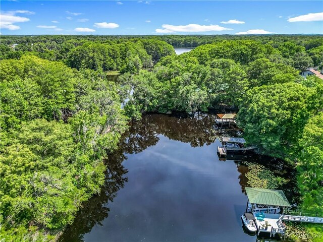9200 E Hampton Point Rd, Inverness, FL 34450 - photo 51