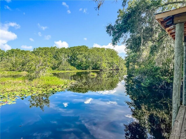 9200 E Hampton Point Rd, Inverness, FL 34450 - photo 37