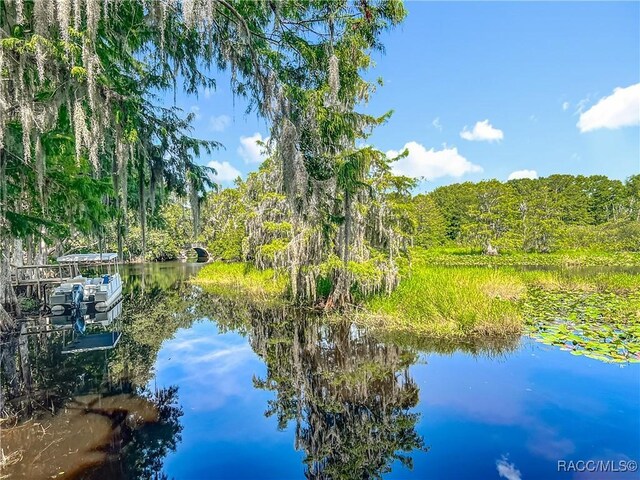 9200 E Hampton Point Rd, Inverness, FL 34450 - photo 39