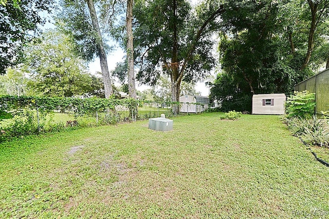 view of yard featuring a storage unit