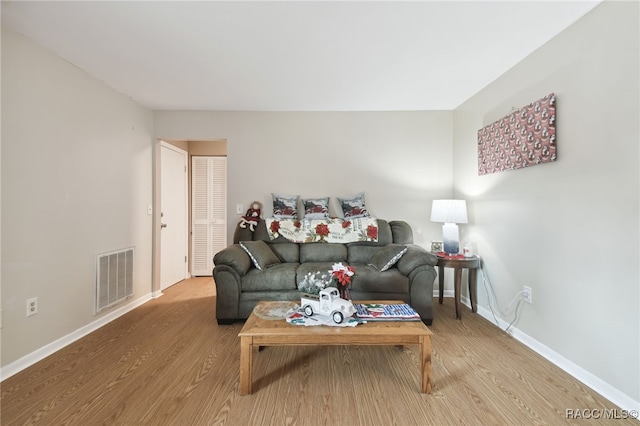 living room featuring wood-type flooring