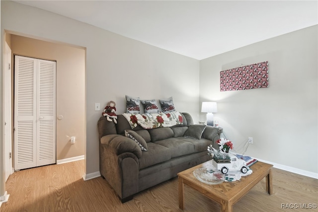 living room with hardwood / wood-style floors