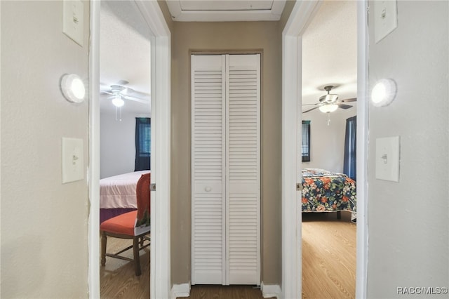 hall featuring hardwood / wood-style flooring