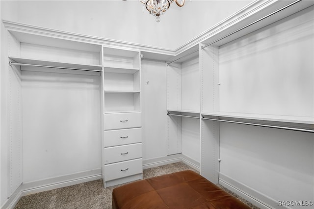 walk in closet with carpet