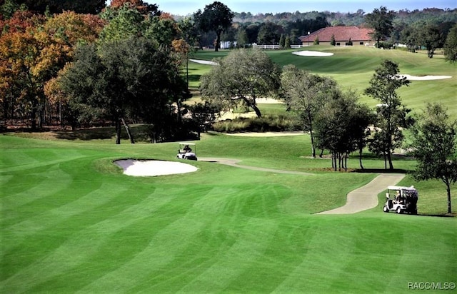 view of home's community featuring a lawn