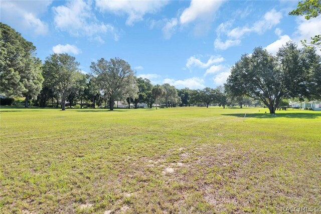 489 E Falconry Ct, Hernando, FL 34442 - photo 52