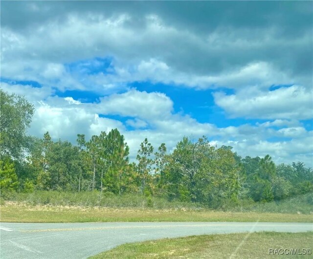 4150 Fairbanks Dr, Chipley, FL 32428 - photo 1