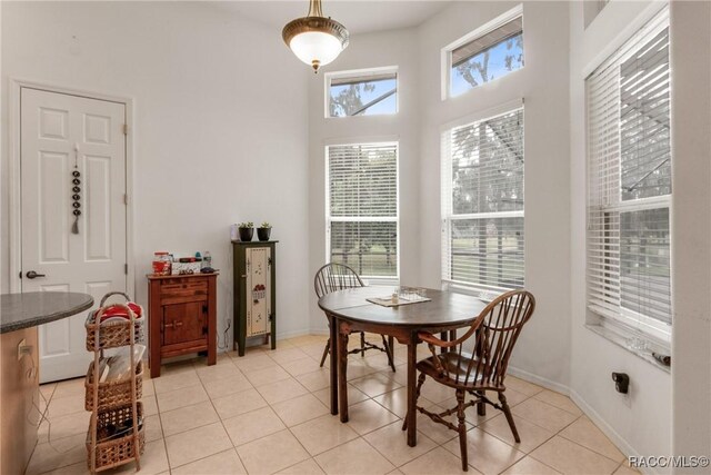 tiled dining area with plenty of natural light