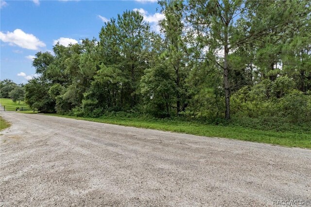 942 E Dellbrook Ln, Citrus Springs, FL 34434 - photo 18