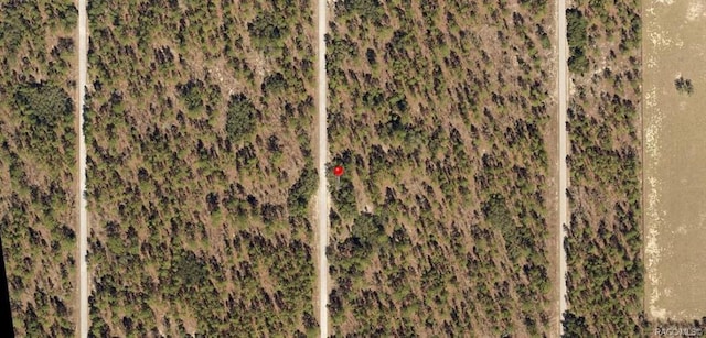 LOT17 NW Smallwood Rd, Dunnellon FL, 34431 land for sale