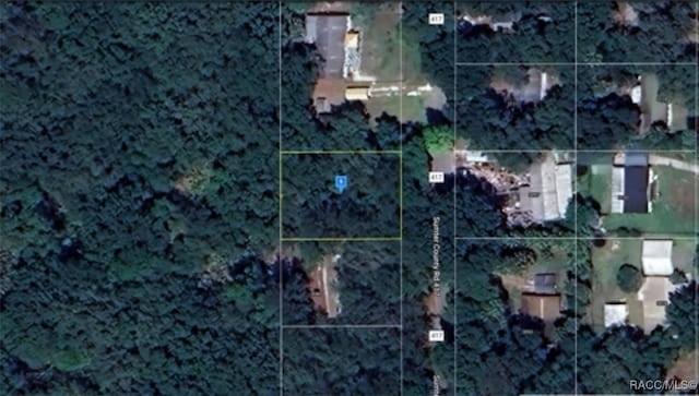 LOT21 Crk 417, Lake Panasoffkee FL, 33538 land for sale