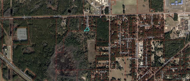 Listing photo 3 for TBD Deer Trail Cir, Bronson FL 32621