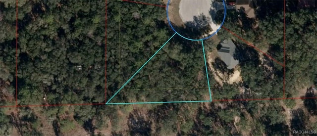 TBD Deer Trail Cir, Bronson FL, 32621 land for sale