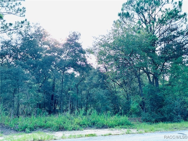 Listing photo 2 for TBD SW Pineapple Hill Dr, Dunnellon FL 34431