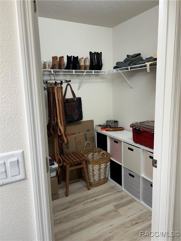 spacious closet featuring light wood-style floors