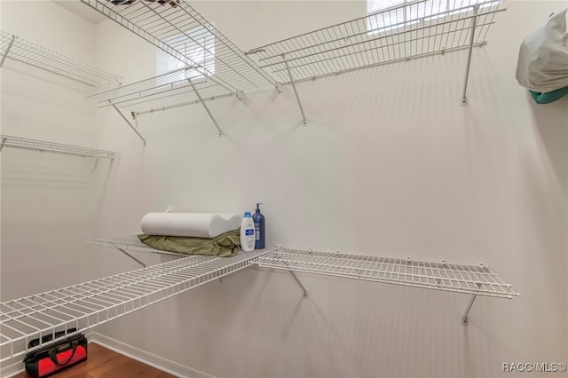 spacious closet with wood-type flooring