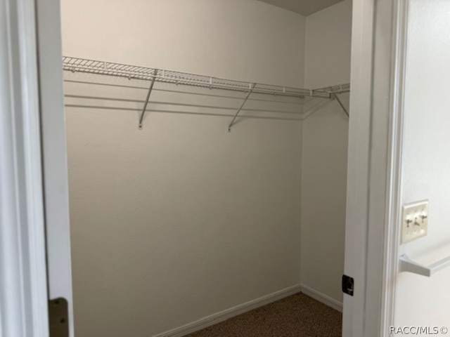 spacious closet featuring carpet floors