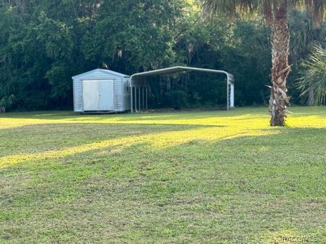 view of yard with a carport and a storage unit