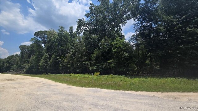 0000 47th Ln, Bell, FL 32619 - photo 4