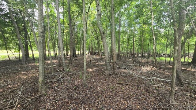 0000 47th Ln, Bell, FL 32619 - photo 5