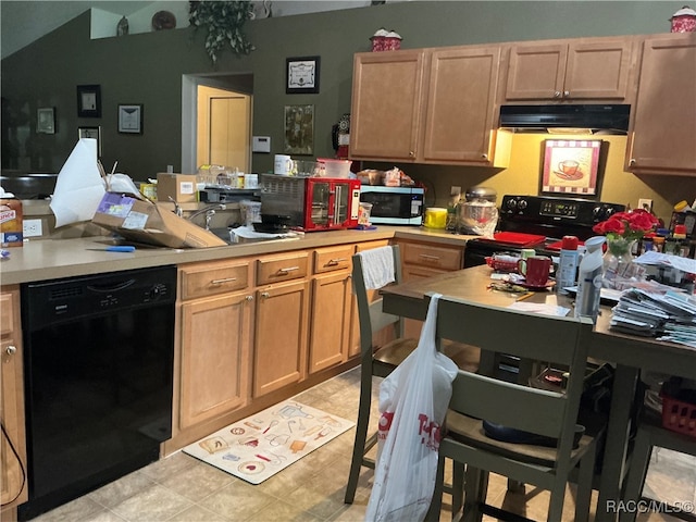 kitchen featuring black appliances