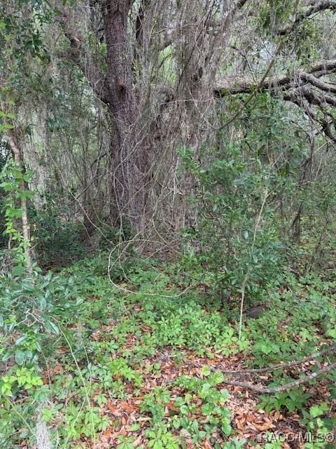 7911 N Walton Ter, Citrus Springs, FL 34434