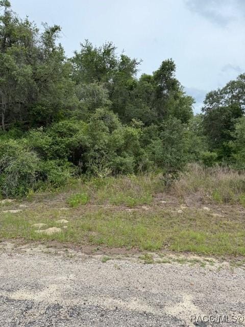 7911 N Walton Ter, Citrus Springs, FL 34434