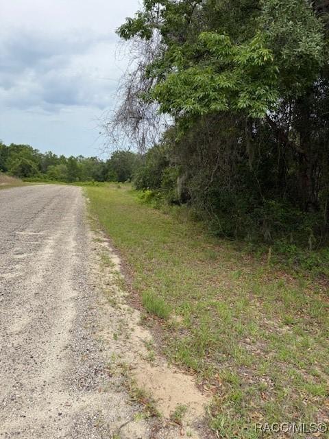 7911 N Walton Ter, Citrus Springs, FL 34434
