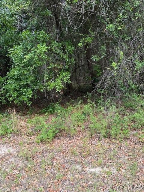7911 N Walton Ter, Citrus Springs, FL 34434