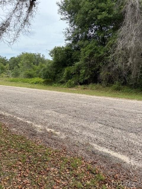 7911 N Walton Ter, Citrus Springs, FL 34434