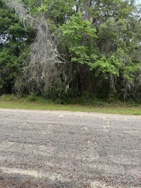 7911 N Walton Ter, Citrus Springs, FL 34434