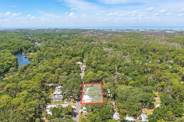 6 62nd St, Yankeetown, FL 34498 - photo 51