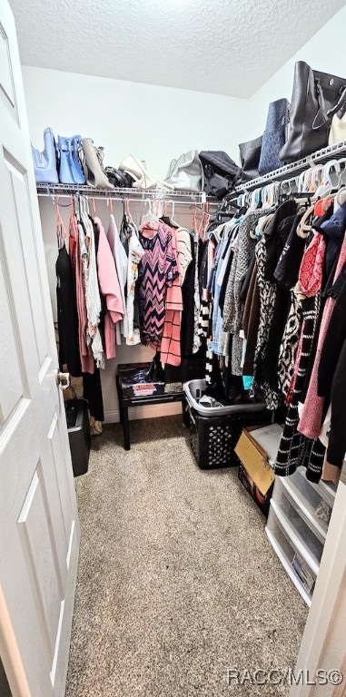 walk in closet with carpet