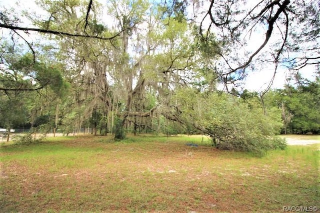 Listing photo 2 for 4807 E Withlacoochee Trl, Dunnellon FL 34434