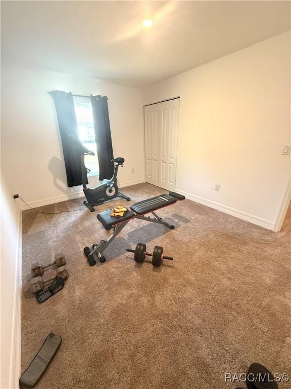 exercise room featuring carpet floors