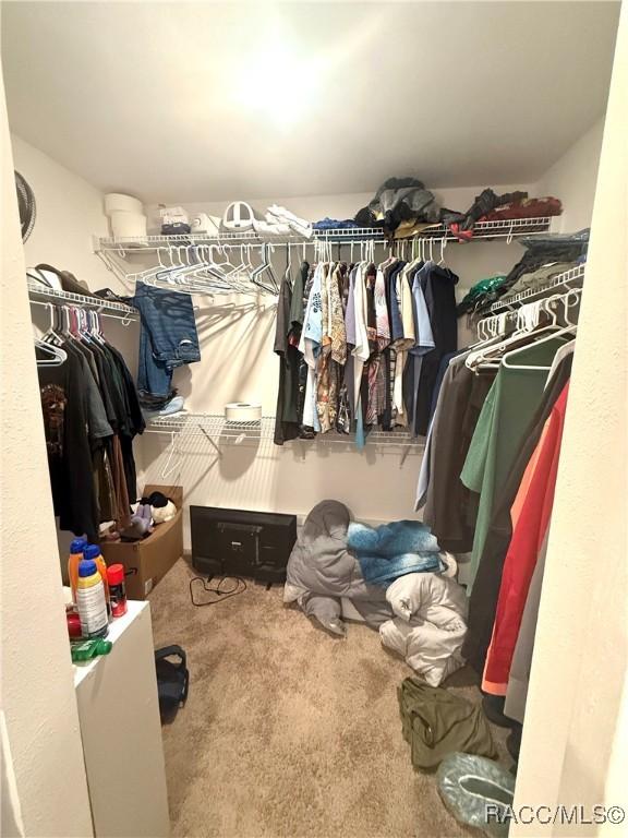 spacious closet with carpet