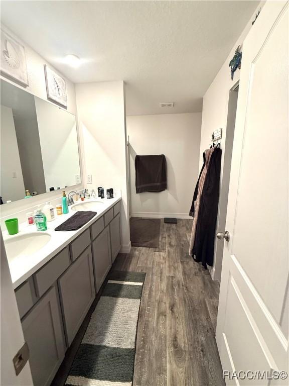 bathroom featuring hardwood / wood-style flooring and vanity